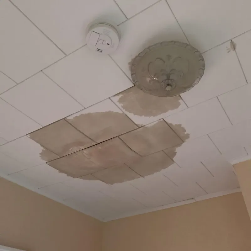 Ceiling Water Damage Repair in Addis, LA